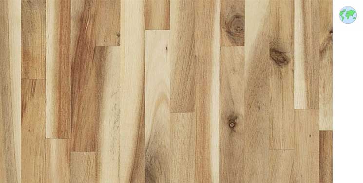 Wood butcher block countertop in a rustic Colorado kitchen design