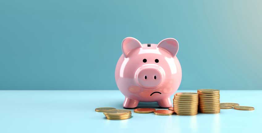 Piggy bank representing client budgeting choices in Denver interior design